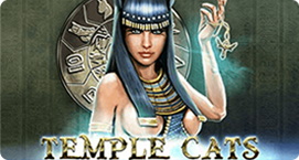 Mad Casino temple cats